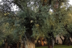 20191005_181125